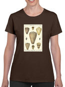 Cone Shells. T-shirt -Denis Diderot Designs