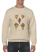 Pyrule Shells Sweatshirt -Denis Diderot Designs