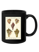 Pyrule Shells Mug -Denis Diderot Designs