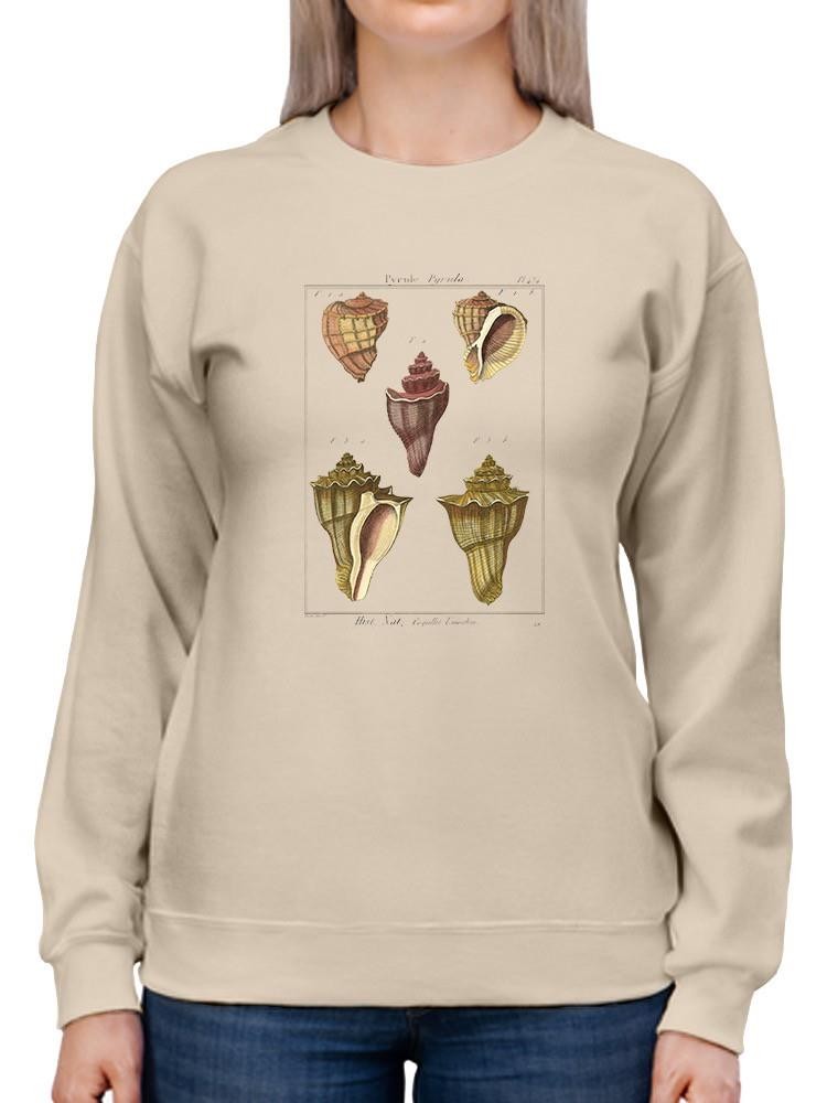 Pyrule Shells Sweatshirt -Denis Diderot Designs