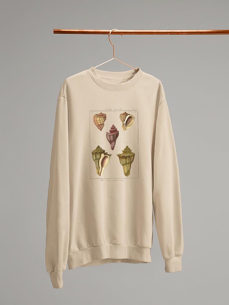 Pyrule Shells Sweatshirt -Denis Diderot Designs