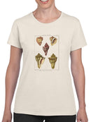 Pyrule Shells T-shirt -Denis Diderot Designs