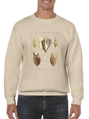 Strombe Shells Sweatshirt -Denis Diderot Designs