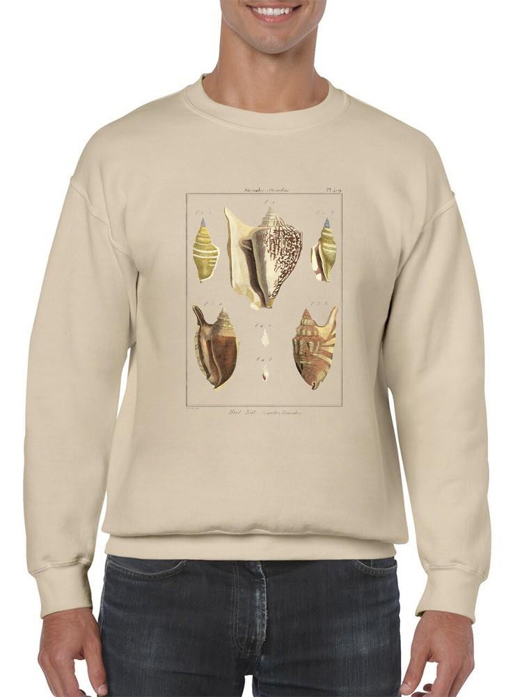 Strombe Shells Sweatshirt -Denis Diderot Designs