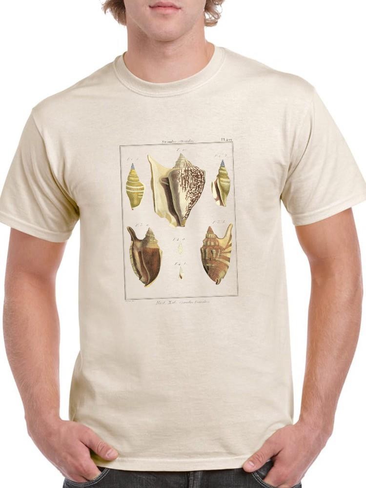 Strombe Shells T-shirt Men's -Denis Diderot Designs