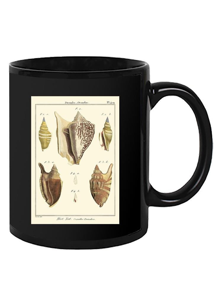 Strombe Shells Mug -Denis Diderot Designs