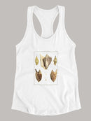 Strombe Shells T-shirt -Denis Diderot Designs