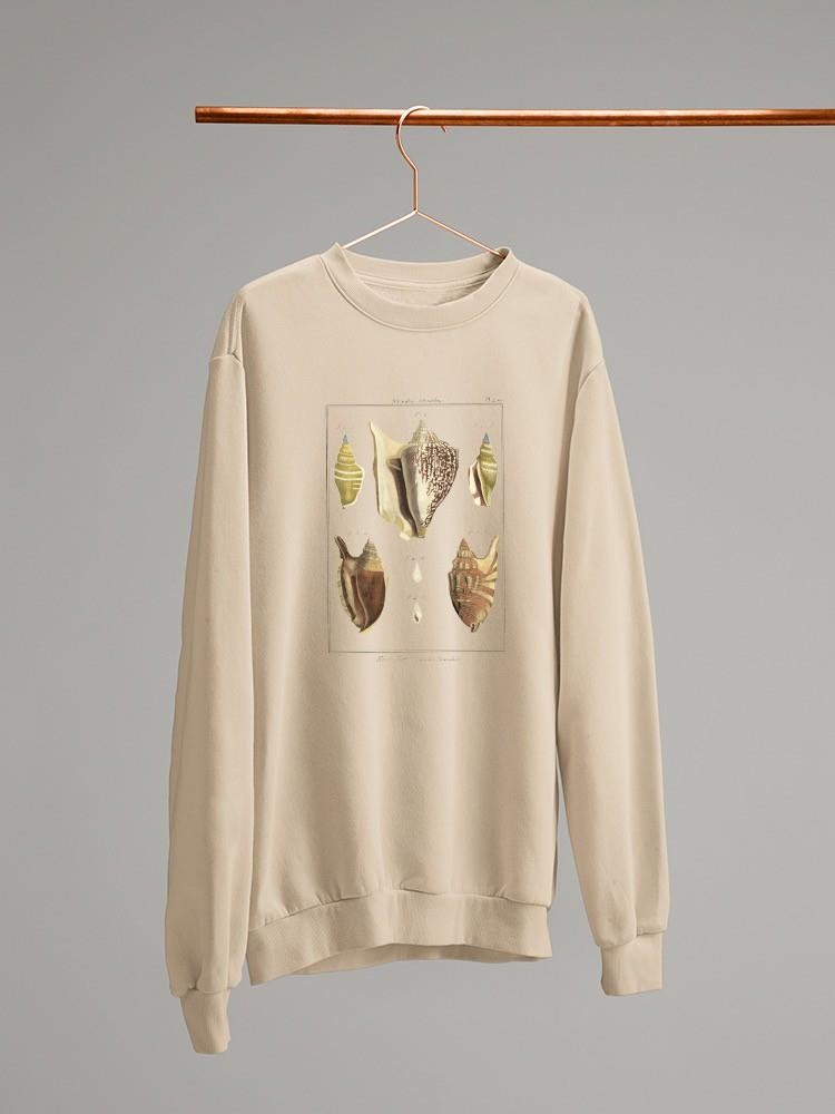Strombe Shells Sweatshirt -Denis Diderot Designs