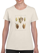 Strombe Shells T-shirt -Denis Diderot Designs