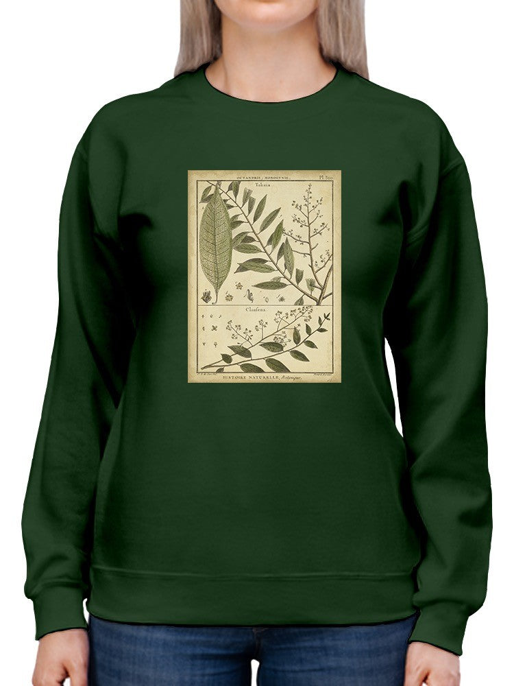 Talisia And Claufena Leaves Sweatshirt -Denis Diderot Designs