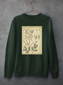 Diderot Antique Ferns Ii. Sweatshirt -Denis Diderot Designs