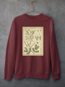 Diderot Antique Ferns Ii. Sweatshirt -Denis Diderot Designs