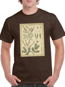 Diderot Antique Ferns Ii. T-shirt -Denis Diderot Designs