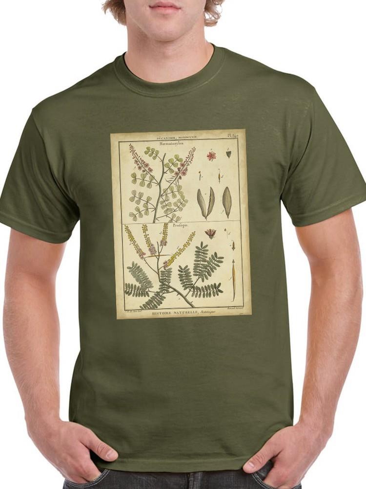 Diderot Antique Ferns Ii. T-shirt -Denis Diderot Designs