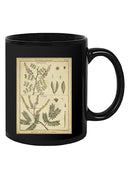 Diderot Antique Ferns Ii. Mug -Denis Diderot Designs