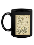 Diderot Antique Ferns Ii. Mug -Denis Diderot Designs