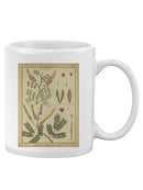 Diderot Antique Ferns Ii. Mug -Denis Diderot Designs