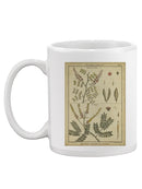 Diderot Antique Ferns Ii. Mug -Denis Diderot Designs