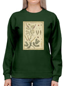 Diderot Antique Ferns Ii. Sweatshirt -Denis Diderot Designs