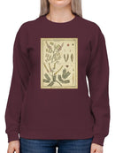 Diderot Antique Ferns Ii. Sweatshirt -Denis Diderot Designs
