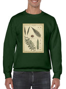 Diderot Antique Ferns Iii. Sweatshirt -Denis Diderot Designs