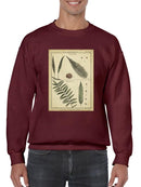 Diderot Antique Ferns Iii. Sweatshirt -Denis Diderot Designs