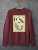 Diderot Antique Ferns Iii. Sweatshirt -Denis Diderot Designs