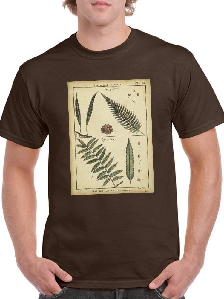 Diderot Antique Ferns Iii. T-shirt -Denis Diderot Designs