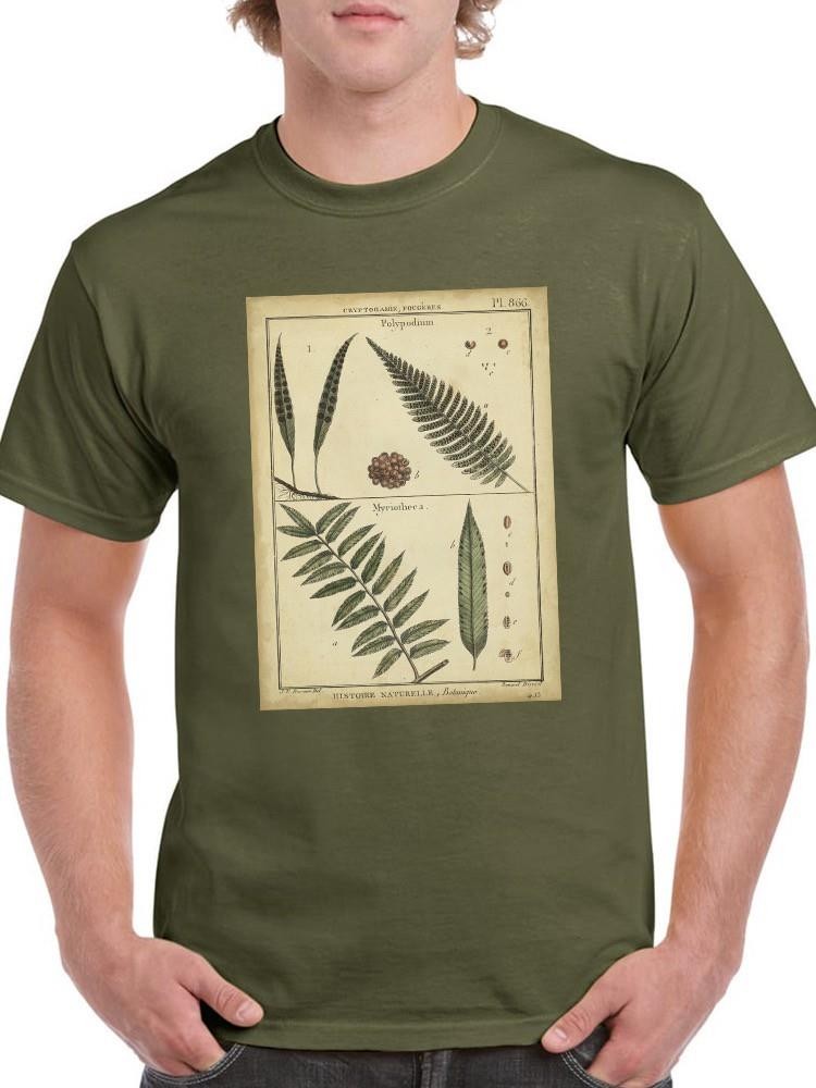 Diderot Antique Ferns Iii. T-shirt -Denis Diderot Designs