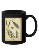 Diderot Antique Ferns Iii. Mug -Denis Diderot Designs