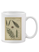 Diderot Antique Ferns Iii. Mug -Denis Diderot Designs