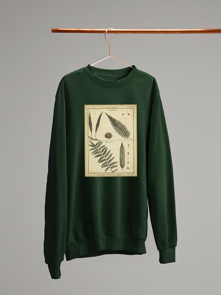 Diderot Antique Ferns Iii. Sweatshirt -Denis Diderot Designs