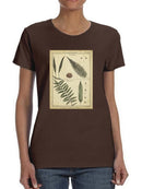 Diderot Antique Ferns Iii. T-shirt -Denis Diderot Designs