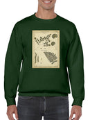 Antique Ferns Sweatshirt -Denis Diderot Designs