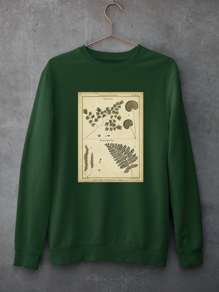 Antique Ferns Sweatshirt -Denis Diderot Designs