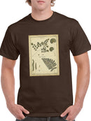 Antique Ferns T-shirt -Denis Diderot Designs