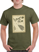 Antique Ferns T-shirt -Denis Diderot Designs