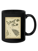 Antique Ferns Mug -Denis Diderot Designs