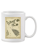Antique Ferns Mug -Denis Diderot Designs
