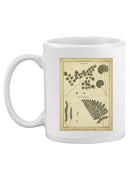 Antique Ferns Mug -Denis Diderot Designs