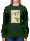 Antique Ferns Sweatshirt -Denis Diderot Designs