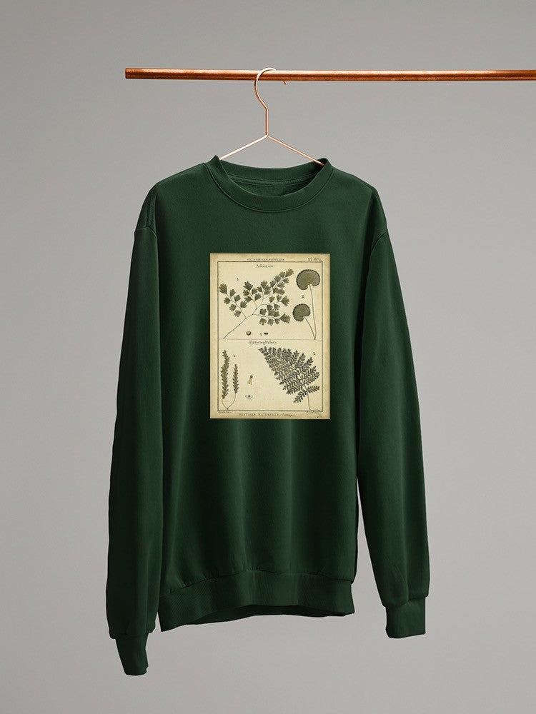 Antique Ferns Sweatshirt -Denis Diderot Designs