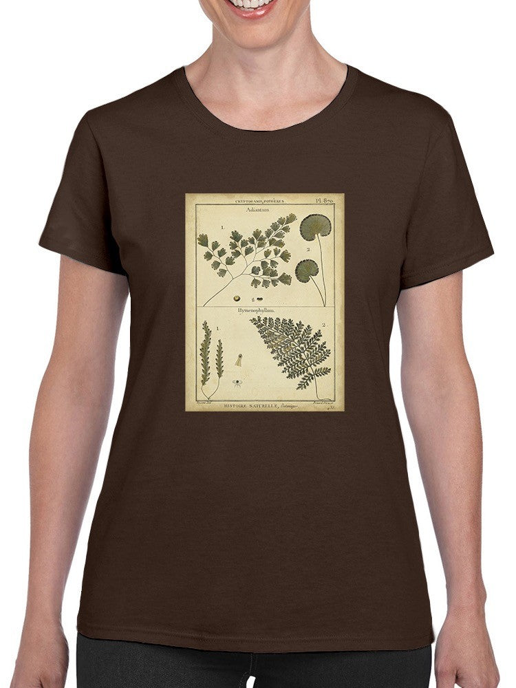 Antique Ferns T-shirt -Denis Diderot Designs