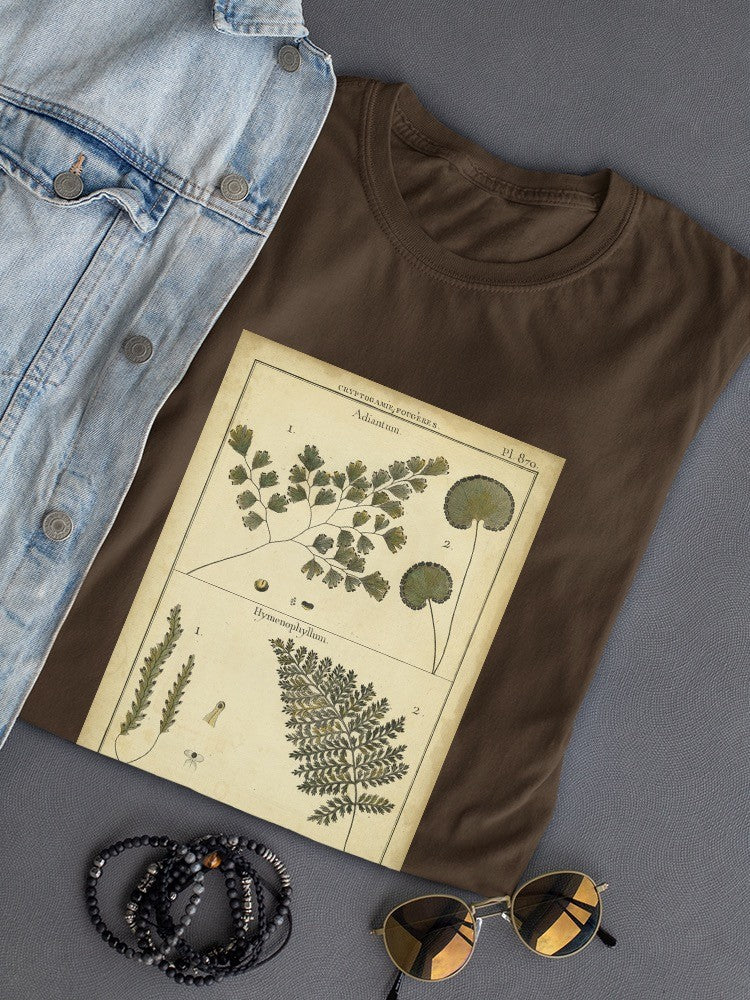 Antique Ferns T-shirt -Denis Diderot Designs