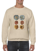 Sand Dollars I Sweatshirt -Denis Diderot Designs
