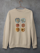 Sand Dollars I Sweatshirt -Denis Diderot Designs