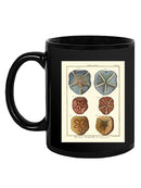 Sand Dollars I Mug -Denis Diderot Designs