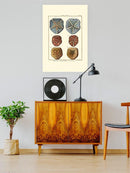 Sand Dollars I Wall Art -Denis Diderot Designs