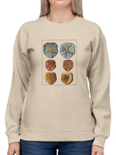 Sand Dollars I Sweatshirt -Denis Diderot Designs