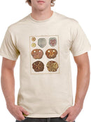 Sand Dollars Ii T-shirt Men's -Denis Diderot Designs